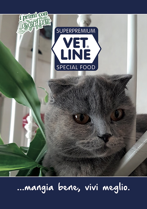 Catalogo VetLine Gatto